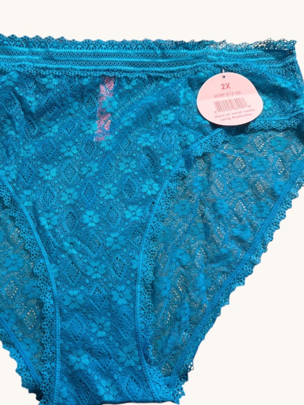 NWT Splendies Teal Lace Brief Size 2X